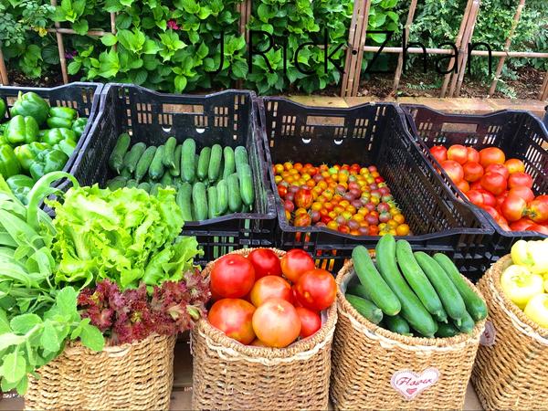 果蔬 ▏比花園還美的菜園