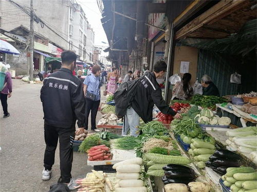 守護(hù)舌尖安全，越西縣全面展開2021年度食品與食用農(nóng)產(chǎn)品質(zhì)量抽檢工作